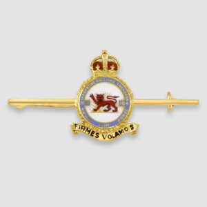 Gold and enamel Royal Air Force (Argentine British) brooch